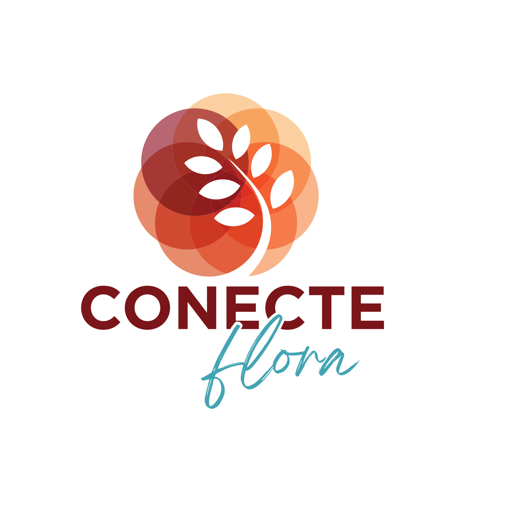 Conecte Flora LTDA 